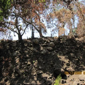 slope above Mission Creek after the Jesusita Fire