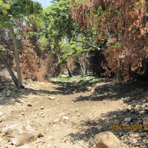 Santa Barbar County flood control, Mission Creek after the Jesusita Fire