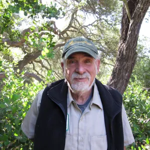 Geege Ostroff