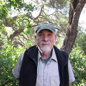 Geege Ostroff