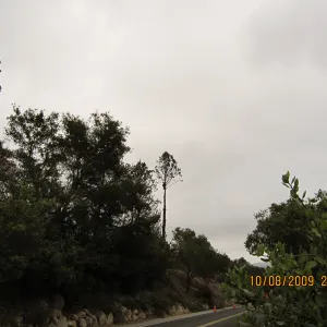 Mission Canyon Road with view of Porter Trail slope, viewing south