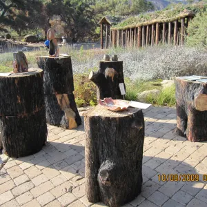 Art From Ashes art exhibit, after the Jesusita Fire
