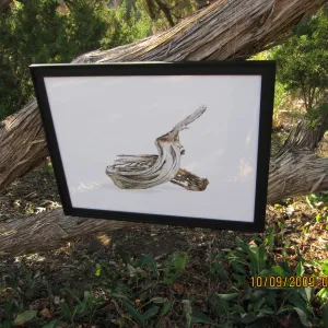Art From Ashes art exhibit, after the Jesusita Fire