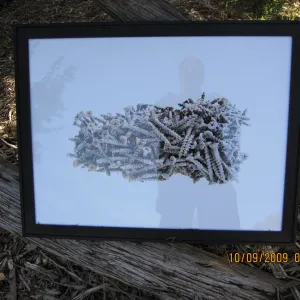 Art From Ashes art exhibit, after the Jesusita Fire