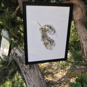 Art From Ashes art exhibit, after the Jesusita Fire