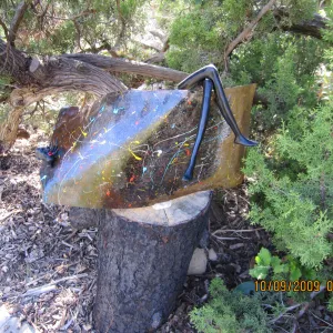 Art From Ashes art exhibit, after the Jesusita Fire
