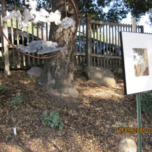 Art From Ashes art exhibit, after the Jesusita Fire