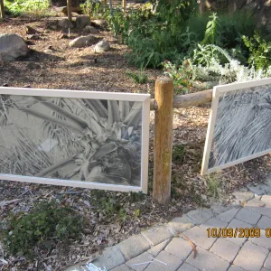 Art From Ashes art exhibit, after the Jesusita Fire