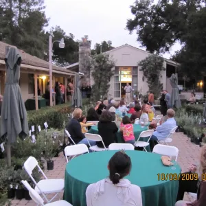 Art From Ashes event, after the Jesusita Fire