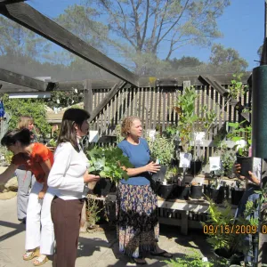 SBBG staff in the Garden Growers Nursery before the Plant Sale