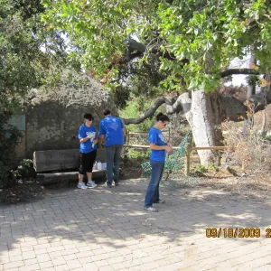 Day of Caring, volunteer activity