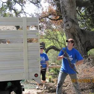 Day of Caring, volunteer activity
