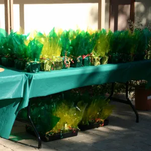 Garden Growers Celebration