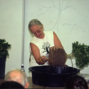 Ann's demonstration, Bonsai Show at SBBG