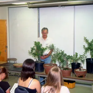 Bonsai Show at SBBG
