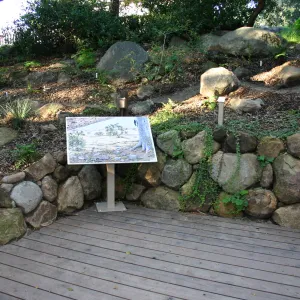 Discovery Garden, oak woodland interpretation deck
