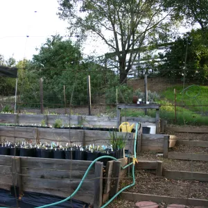 Garden Growers propagation area