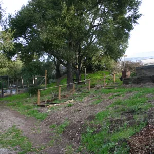 Garden Growers propagation area