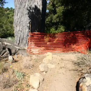 orange mesh fencing, Campbell Trail closed