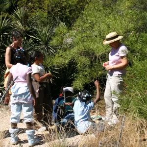 Docent Tour in the Garden