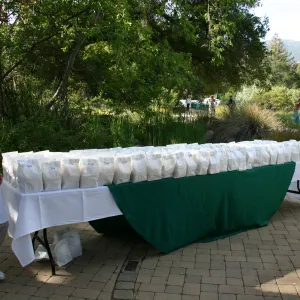 SBBG 80th Birthday Celebration, catering