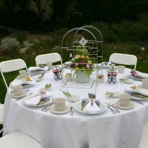 High Tea in the Garden, event in the Meadow