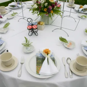High Tea in the Garden, event in the Meadow