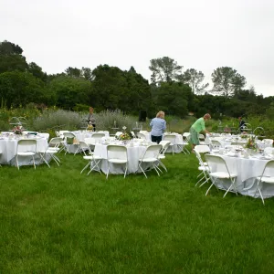 High Tea in the Garden, event in the Meadow