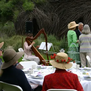 High Tea in the Garden, event in the Meadow