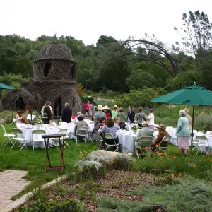 High Tea in the Garden, event in the Meadow