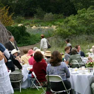 High Tea in the Garden, event in the Meadow