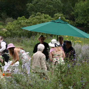 High Tea in the Garden, event in the Meadow