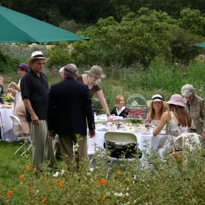High Tea in the Garden, event in the Meadow