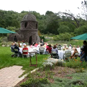 High Tea in the Garden, event in the Meadow