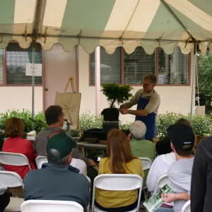 Bonsai Weekend, event at SBBG