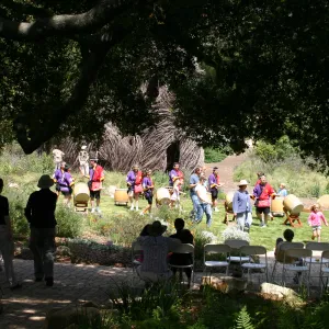 Bonsai Weekend, event at SBBG