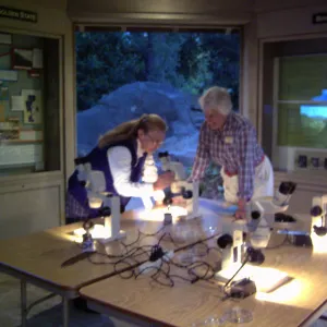 Great Garden Nature Night, event at SBBG