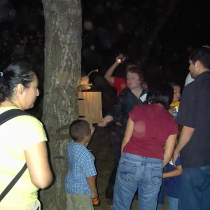 Great Garden Nature Night, event at SBBG