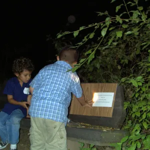Great Garden Nature Night, event at SBBG