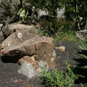 Desert Section, lava rock gravel
