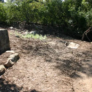 construction of new Conservation Display