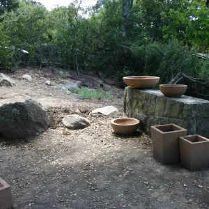 construction of new Conservation Display