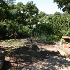 construction of new Conservation Display