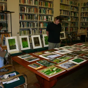 SCAPE Art Exhibit, judging in the Blaksley Library