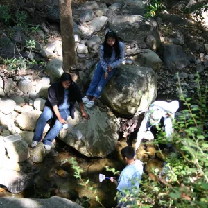 Snapdragons, SBBG TEEN Program, class activity in Mission Creek