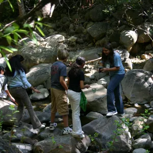 Snapdragons, SBBG TEEN Program, class activity in Mission Creek