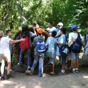YEA group at SBBG, at the redwood cross-section