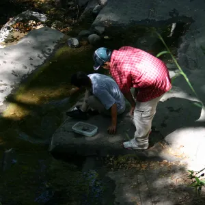 YEA group at SBBG, examining insects in Mission Creek