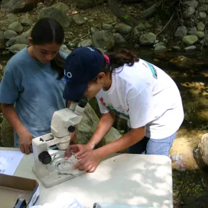 YEA group at SBBG, examining insects under the microscope, Kaniesia Evenson