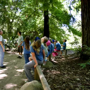 SBBG Nature Camp, 2006, in the Redwood Section with Joan Evans